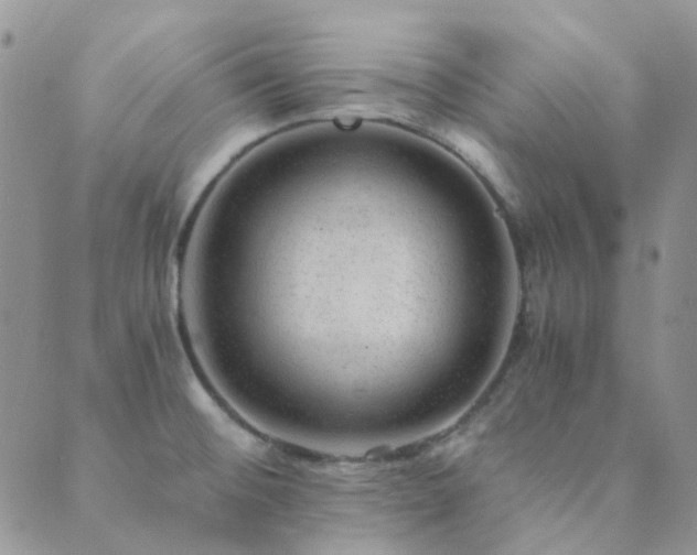 X0000089711476200706211331