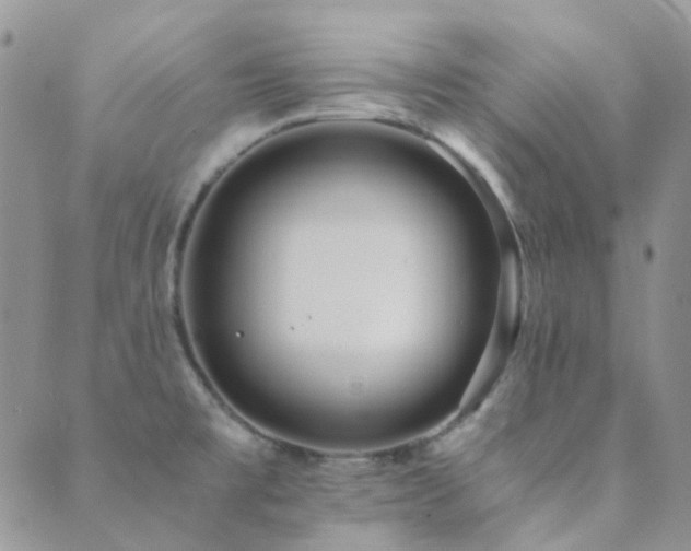 X0000089711477200706211331