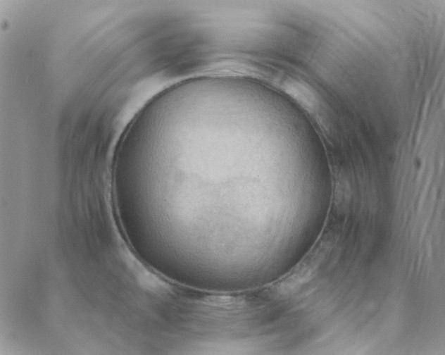 X0000089711478200706211331