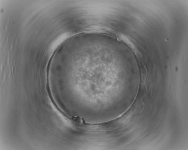 X0000089711479200706211331