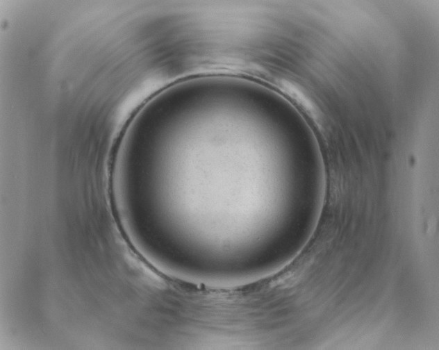 X0000089711480200706211331