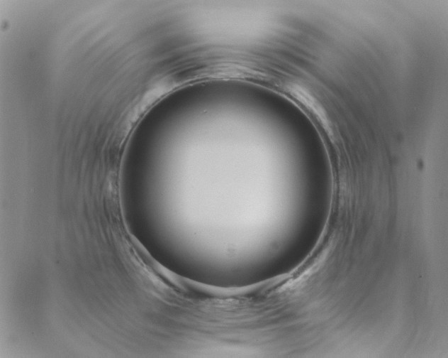 X0000089711481200706211331