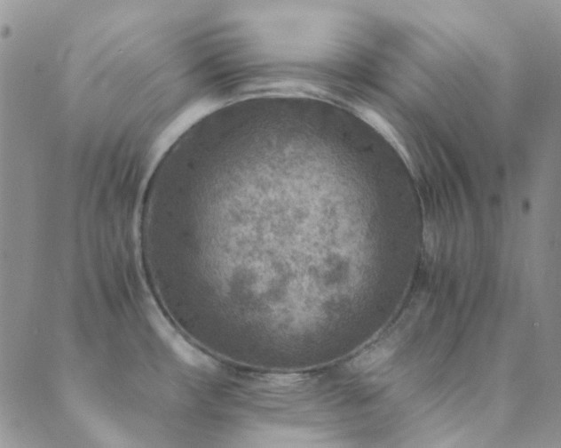 X0000089711482200706211331