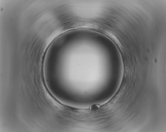 X0000089711483200706211331