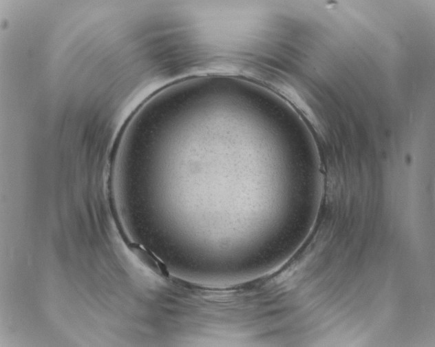 X0000089711484200706211331