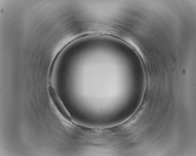 X0000089711485200706211331