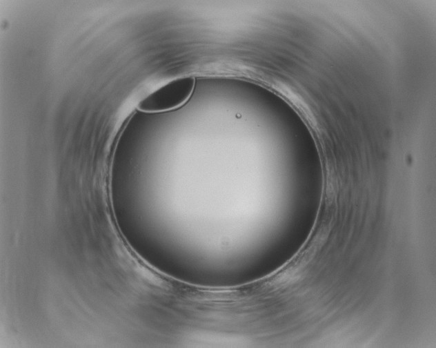 X0000089711486200706211331