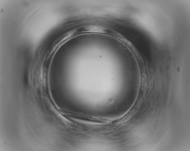 X0000089711487200706211331