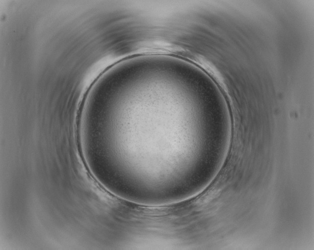 X0000089711488200706211331