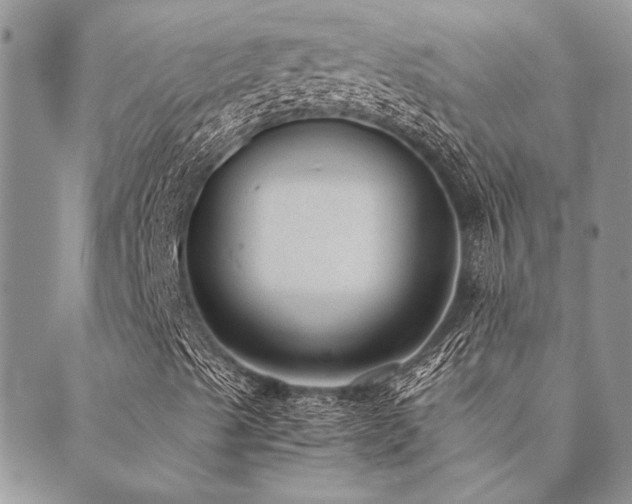 X0000089711489200706211330