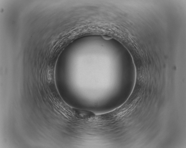 X0000089711490200706211330