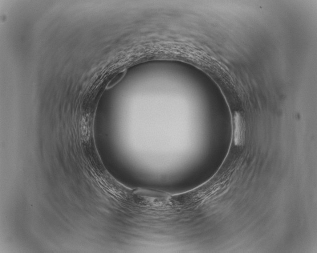 X0000089711491200706211330