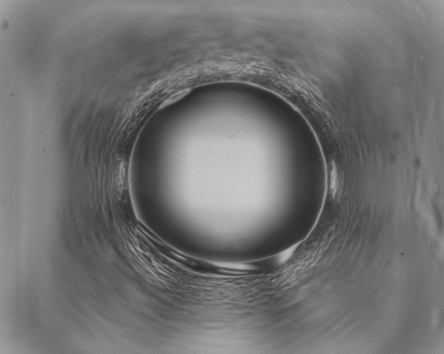 X0000089711492200706211330