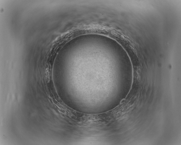 X0000089711493200706211330