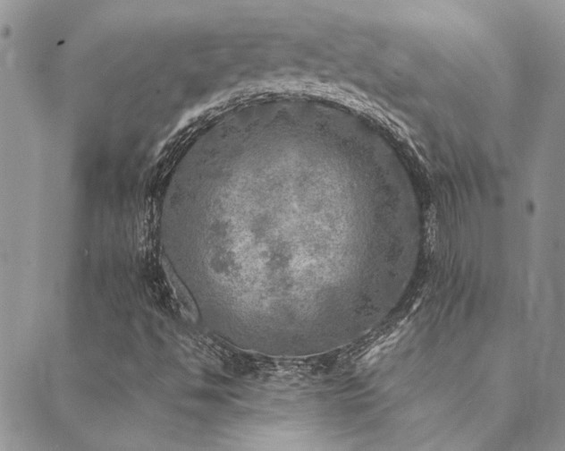 X0000089711494200706211330