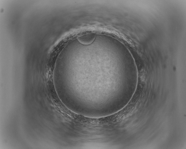 X0000089711495200706211330