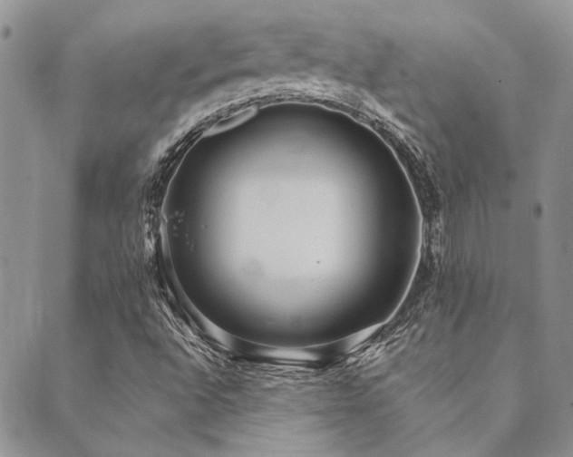 X0000089711496200706211330