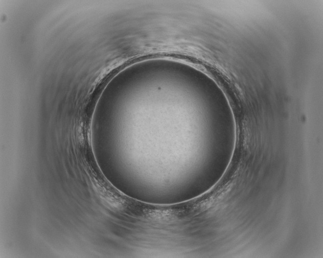 X0000089711497200706211330