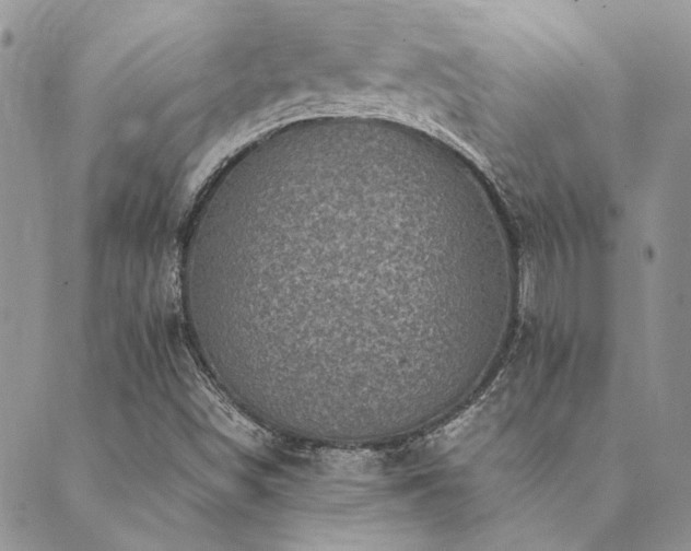 X0000089711498200706211330