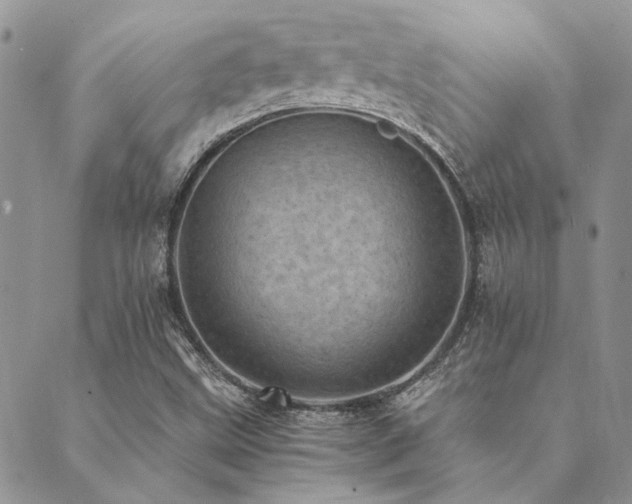 X0000089711499200706211330