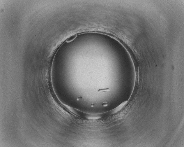 X0000089711500200706211330