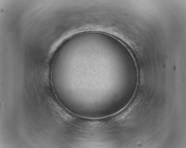 X0000089711502200706211330