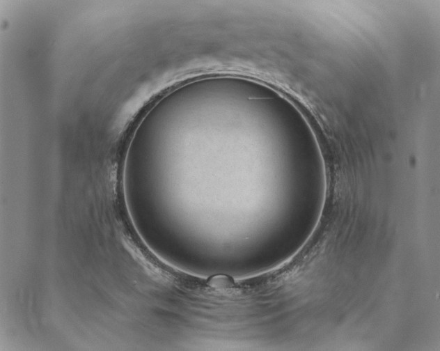 X0000089711503200706211330