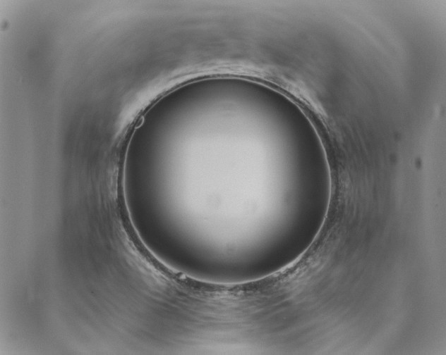 X0000089711504200706211330