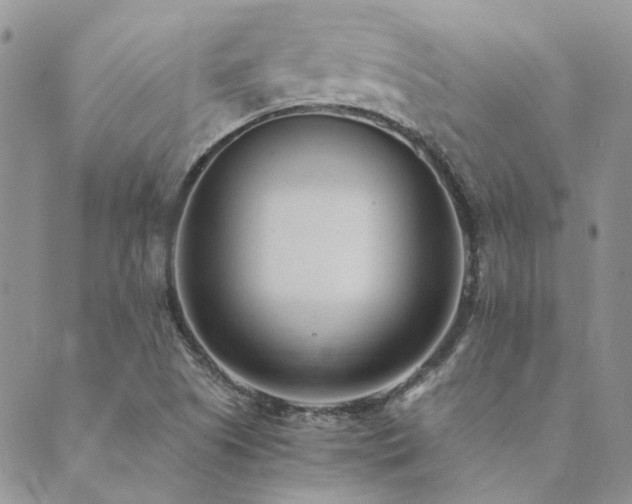 X0000089711505200706211330