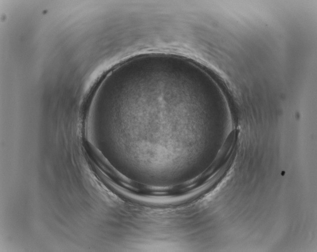 X0000089711506200706211330