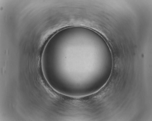 X0000089711507200706211330