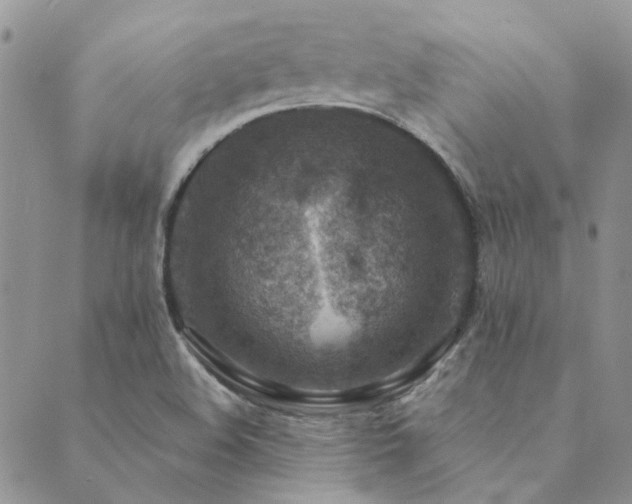 X0000089711508200706211330