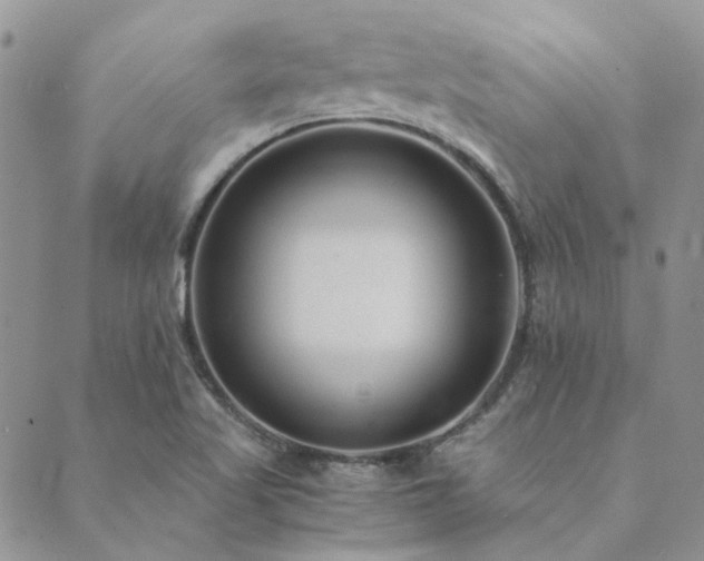 X0000089711509200706211330