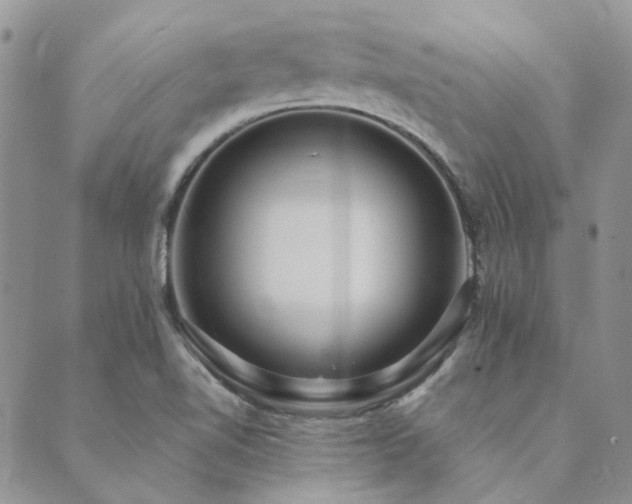 X0000089711510200706211330