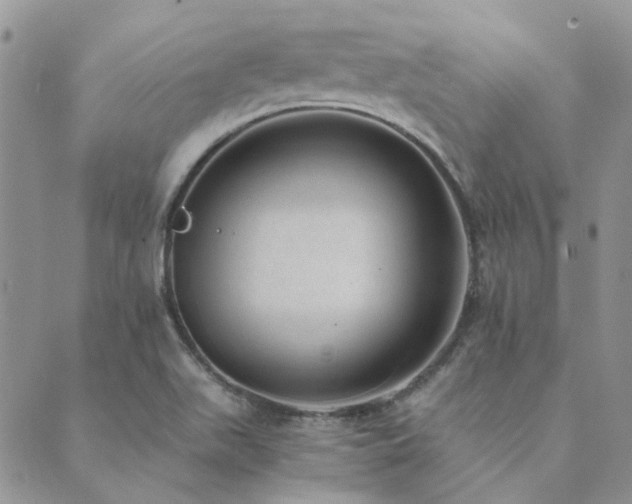 X0000089711511200706211330