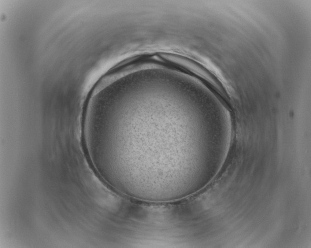 X0000089711512200706211330