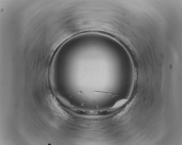 X0000089711513200706211330