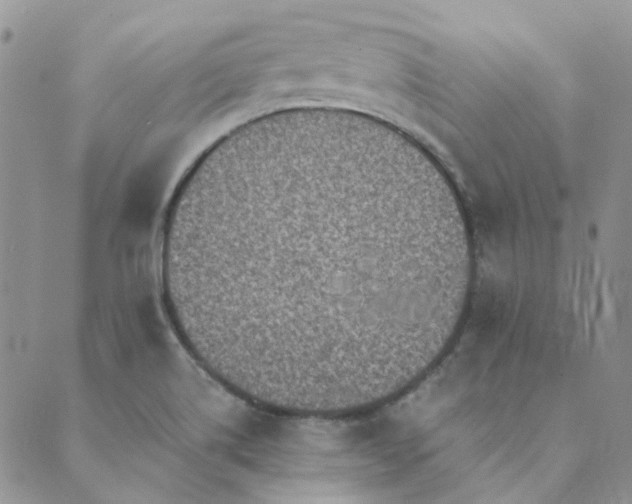 X0000089711514200706211330