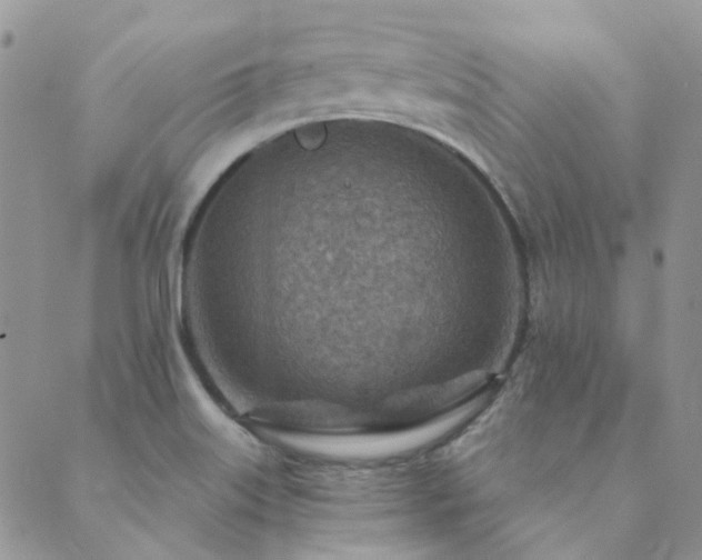 X0000089711515200706211330