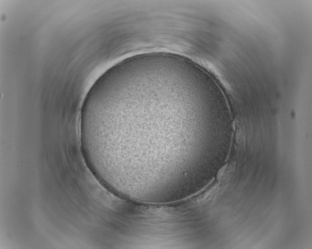 X0000089711516200706211330