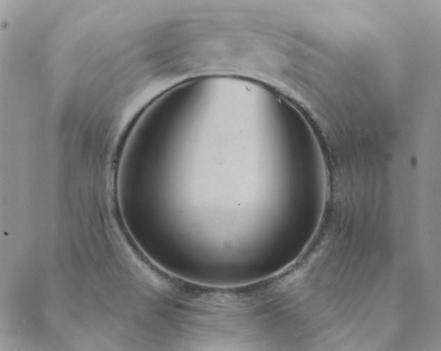 X0000089711517200706211330