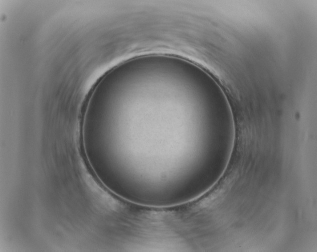 X0000089711518200706211330