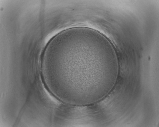 X0000089711519200706211330