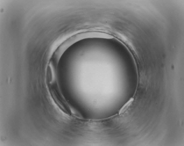 X0000089711520200706211330