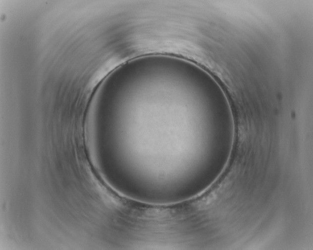 X0000089711521200706211330