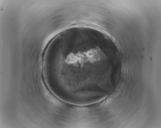 X0000089711522200706211330