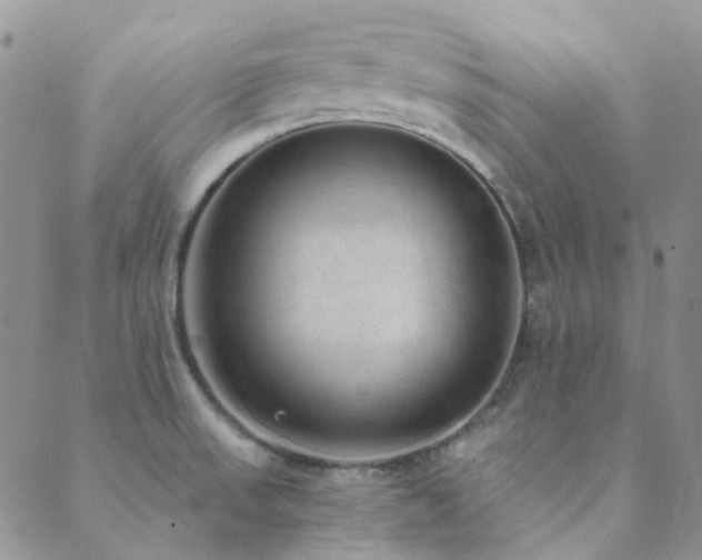 X0000089711523200706211330