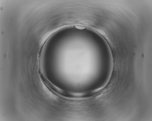 X0000089711524200706211330