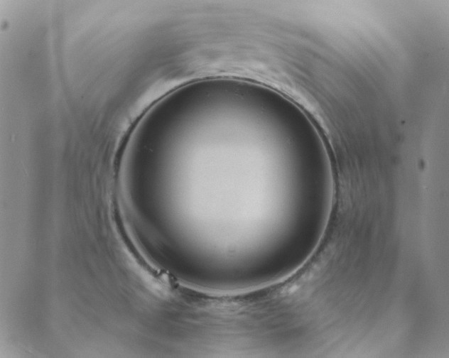 X0000089711525200706211330