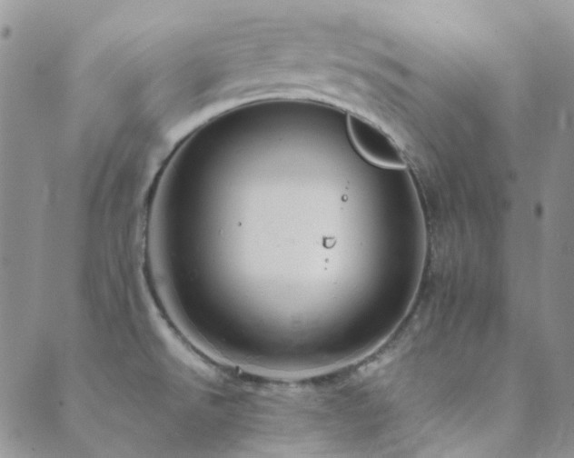 X0000089711526200706211330